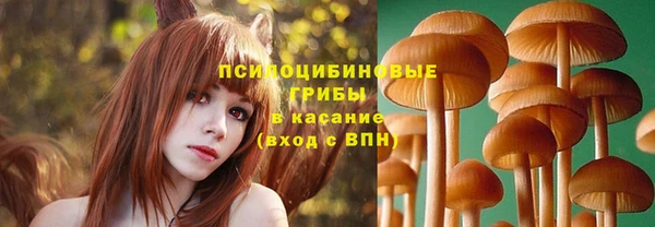 индика Медвежьегорск