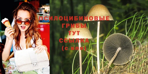 марки lsd Михайлов