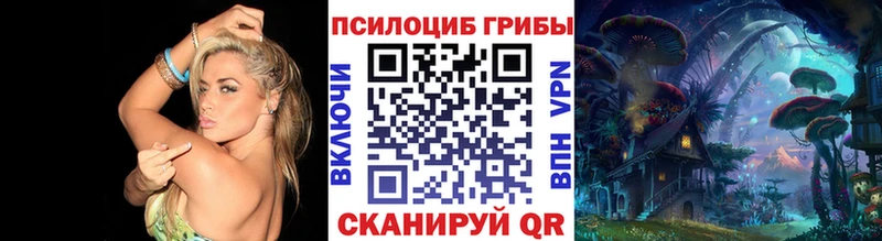 Галлюциногенные грибы Psilocybine cubensis Сосновка