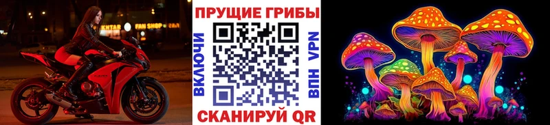 Псилоцибиновые грибы GOLDEN TEACHER  Сосновка 